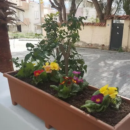 Baris Kusadasi